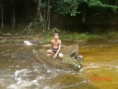 /album/em-andan%c3%a7as-pelo-amazonas/gedc3875-jpg1/